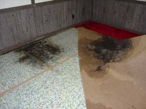 Molded carpet is hazardous to your health.
