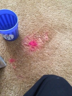 carpet stain removal lawton ok