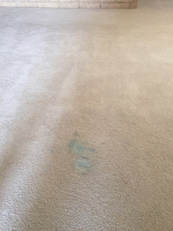 Blue Stain Before Stain Removal